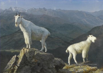 Animaux œuvres - MOUNTAIN GOATS Animal américain Albert Bierstadt